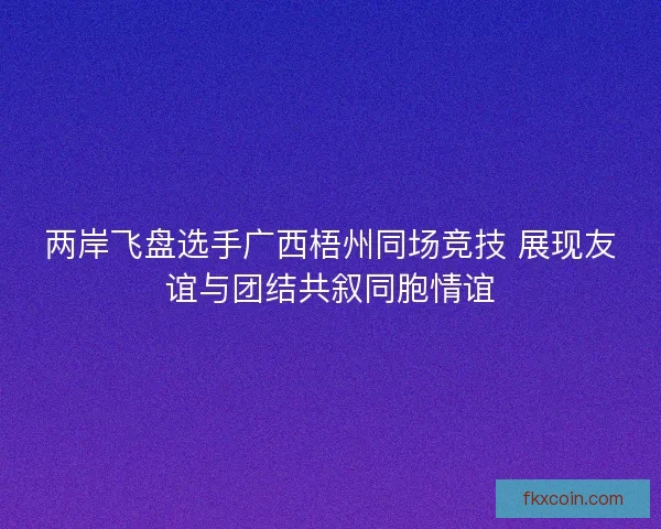 两岸飞盘选手广西梧州同场竞技 展现友谊与团结共叙同胞情谊