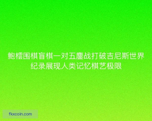 鲍橒围棋盲棋一对五鏖战打破吉尼斯世界纪录展现人类记忆棋艺极限