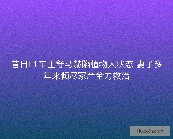 昔日F1车王舒马赫陷植物人状态 妻子多年来倾尽家产全力救治